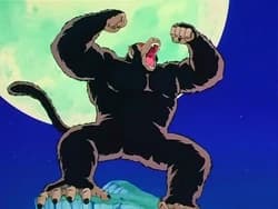 Invasores de vegeta